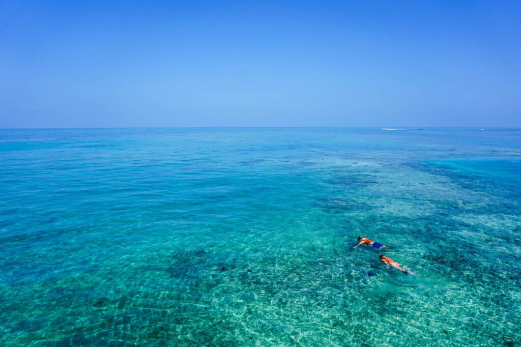 kids snorkeling in the florida keys