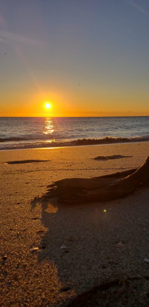 hollywood beach florida