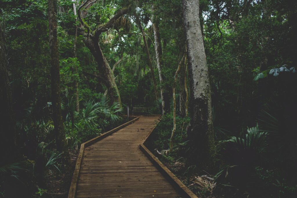 private boardwalk in Canaveral National Seashore florida