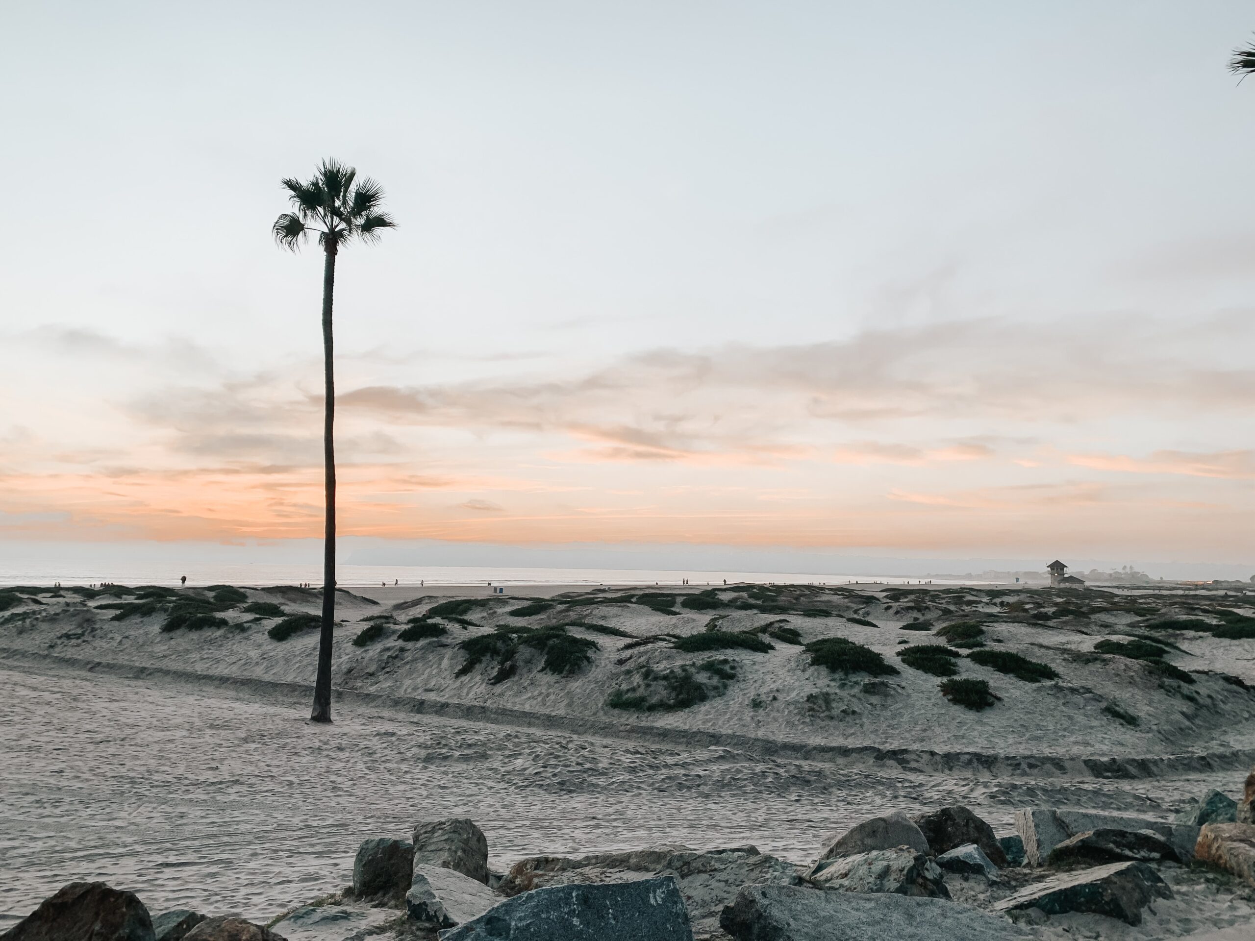 coronado family beach in san diego