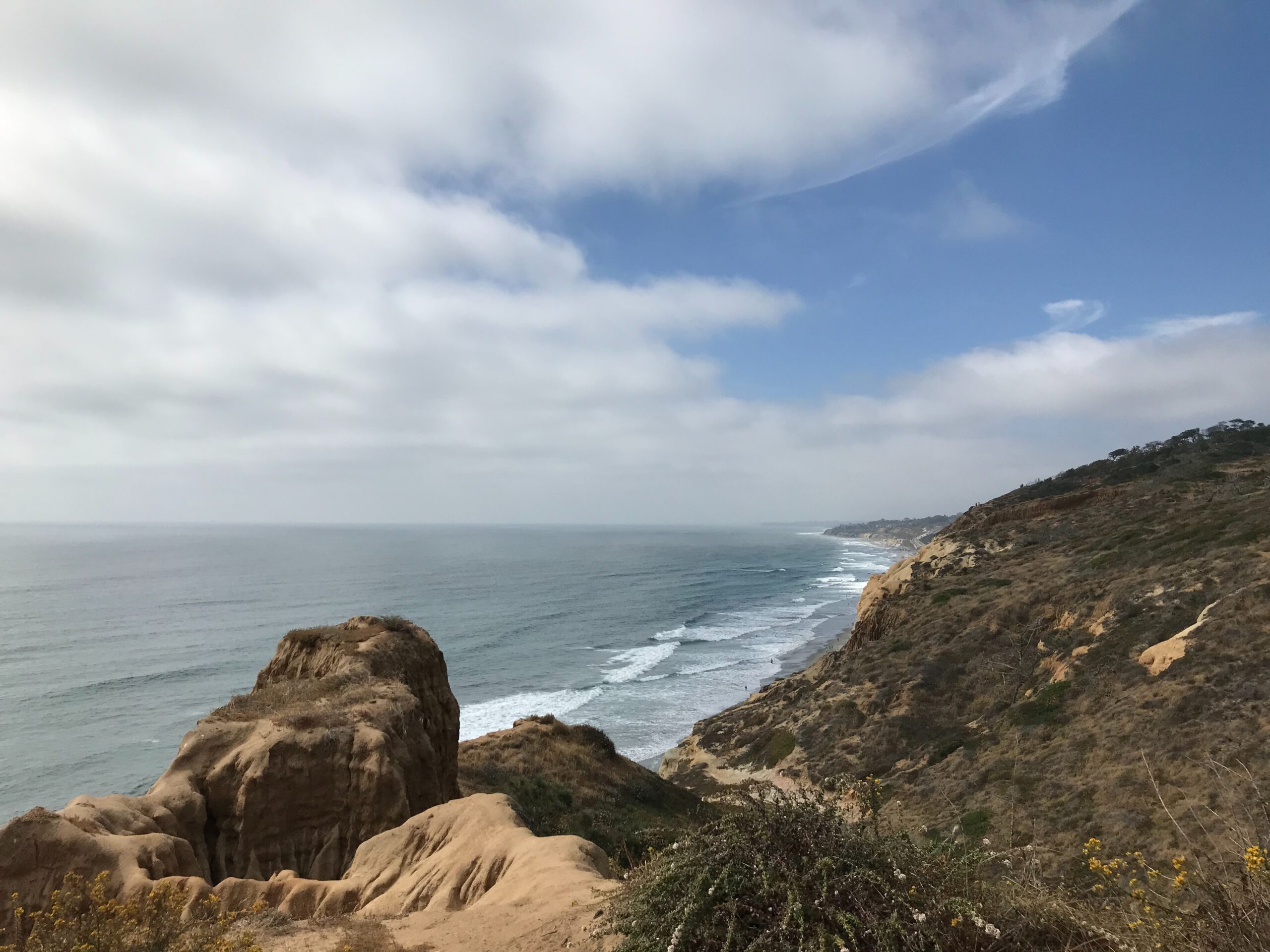 Torrey Pines State Beach in san diego 