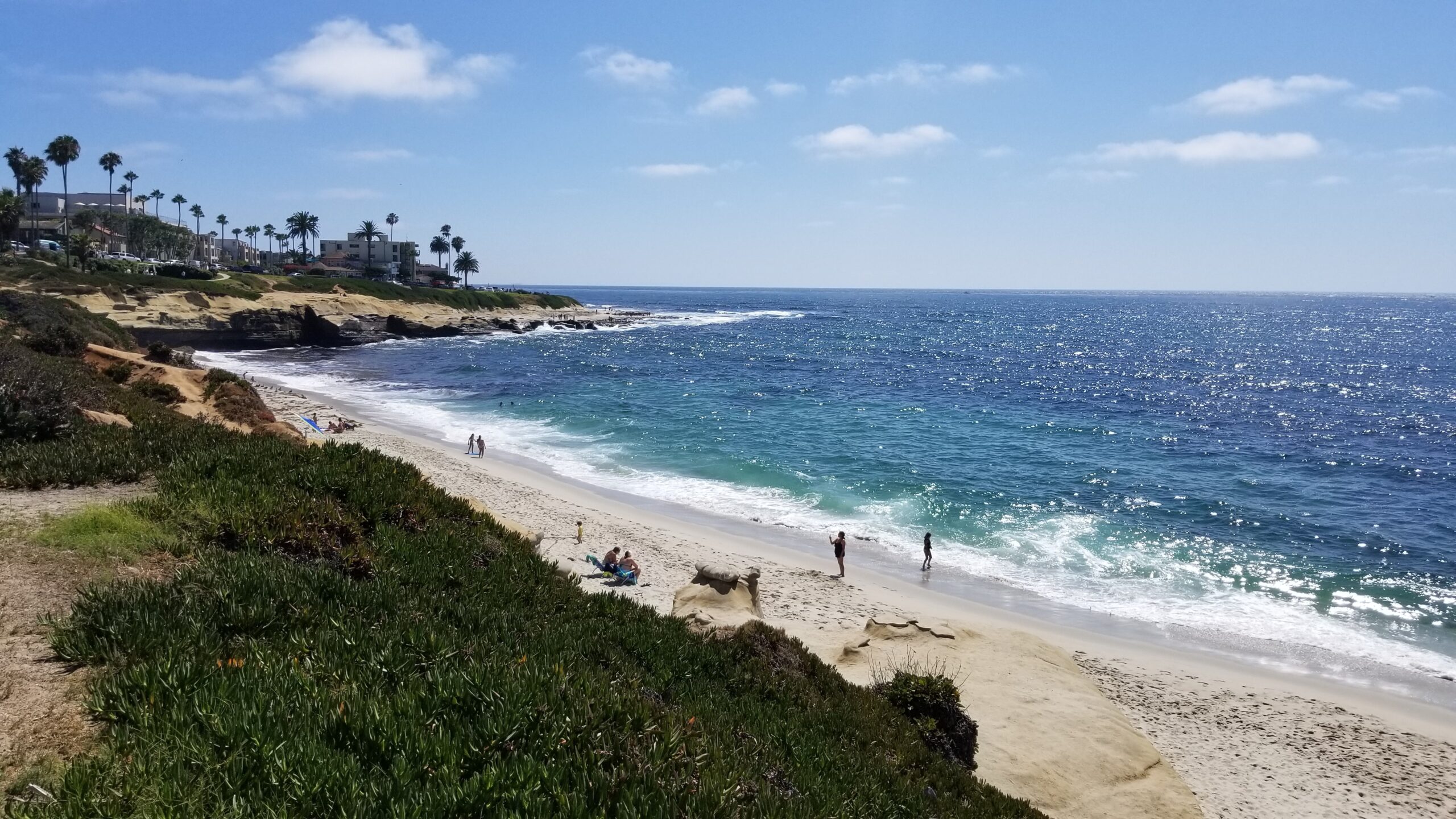 La Jolla Shores san diego 